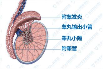 治疗男人早泄什么技术好?